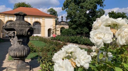 Zámek Děčín, rekonstrukce Dlouhé jízdy a Růžové zahrady
