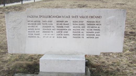 Pomník obětem válek v obci Salaš