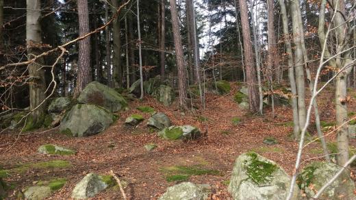 Těmto kamenům v lesích se říká kazatelny a používali se i třeba na výrobu mlýnských kamenů