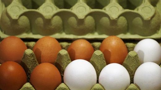 Veterináři nechali neoznačená vejce zlikvidovat (ilustrační snímek)