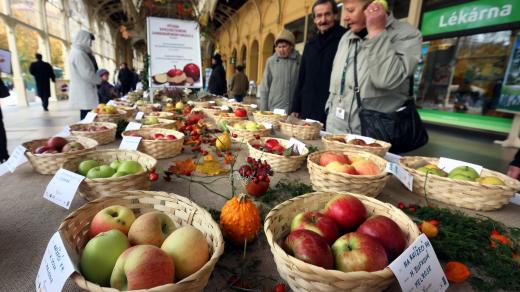 Festival jablek v Mariánských Lázních (ilustrační foto)