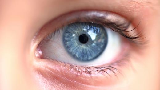 Oči jsou považovány za nejdůležitější smyslový orgán
