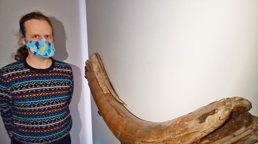 Mamutí kel je dnes v péči Ostravského muzea. Na snímku muzejní archeolog Zbyněk Moravec