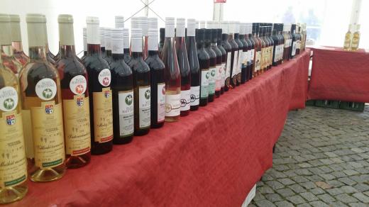 Svatomartinská vína připravená v Uherském Hradišti