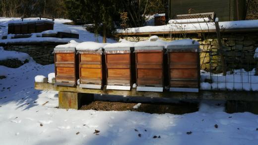 Včelí úl, zima, sníh