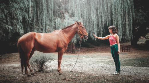 Kůň a žena