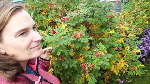 Lucie Hesová při výrobě džemů využívá plody z vlastní zahrady