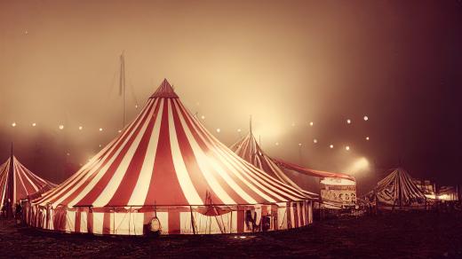 Cirkus (ilustrační foto)