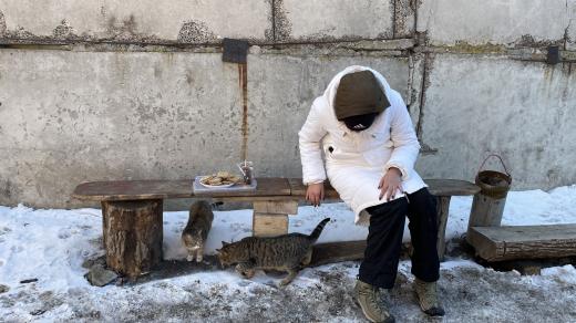 „S kočkami je to snazší – lidi si od nás raději berou kočky než psy,“ říká dobrovolnice Káťa