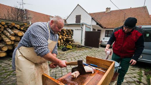 Domácí venkovská zabijačka