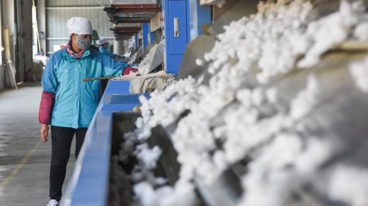 Pracovnice s čerstvě nasbíranou bavlnou v provincii Sin-ťiang, kde jsou Ujgurové a příslušníci dalších menšin využíváni k nucené práci