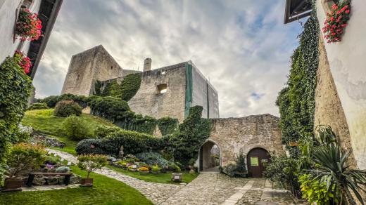 Zřícenina hradu Landštejn