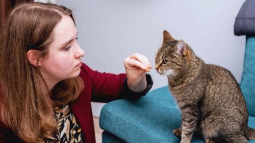 Kočičí polepšovna! Životní vášní Kateřiny Štiblické je pomáhat kočkám a lidem nacházet společnou řeč