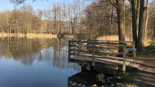 Borecké rybníky na Karlovarsku