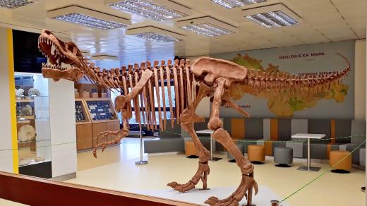 Model kostry tyranosaura rexe láká do expozice zejména rodiny s dětmi