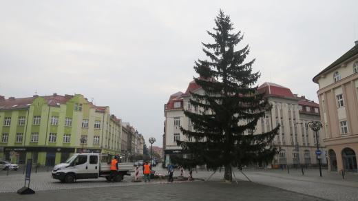 Na Masarykově náměstí v Hradci Králové už stojí vánoční strom