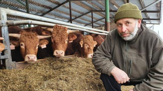 Farmář Martin Novotný chová masné plemeno Limousine