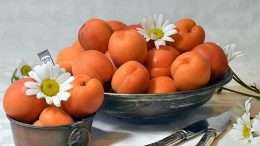 Oranžové ovoce, které Češi milují. To jsou meruňky (ilustrační foto)
