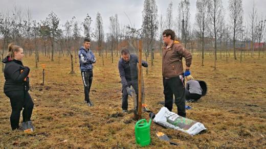 Výsadba zeleně v Bohumíně v roce 2022