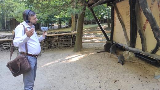 Klokani v žitavské zoo si z redaktora Davida Hamra nic nedělali...