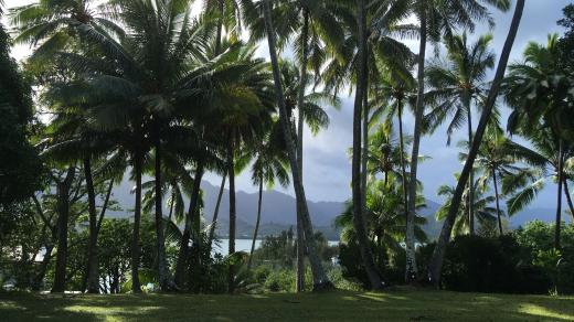 Pohled z Moku O Loe neboli Kokosového ostrova na pobřeží ostrova Oahu..JPG
