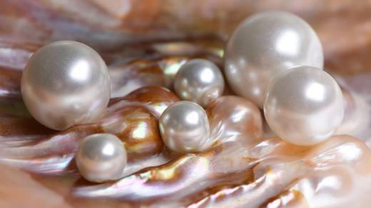 Pravé perly jsou už po tisíce let ceněným skvostem