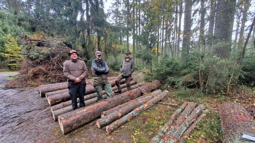 Den pro obnovu lesa u Ševětína na Českobudějovicku