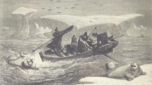 Polární expedice v 19. století