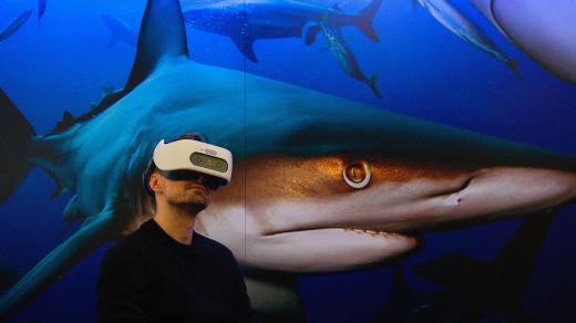 Brýle pro virtuální realitu vás zavedou přímo do hlubin oceánu