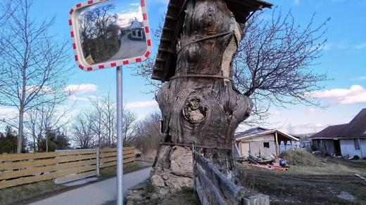 Dub v Opalicích u Kamenného Újezdu. Průměr kmene má bezmála tři metry, obvod přes osm metrů a jeho čtyřmetrový zastřešený kmen je uvnitř vyzděný