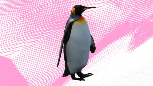 Mikrovlnky – tučňák