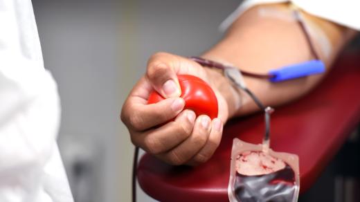 Darování krve (ilustrační obrázek)