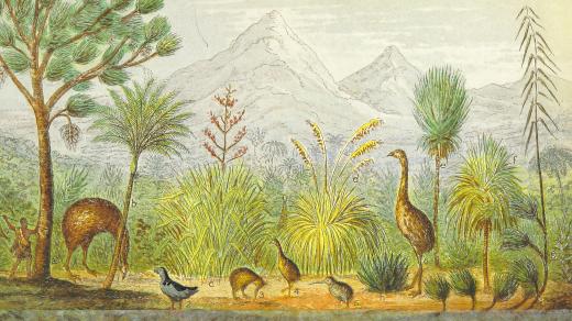 Fauna Nového Zélandu a přilehlých ostrovů