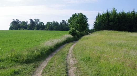 Švédská cesta měla a dodnes má podobu polní cesty využívané zemědělci a turisty