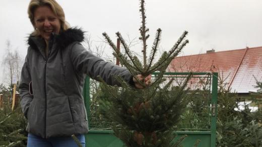 Prodej vánočních stromků pod rozhlednou Javorník v Píseckých horách
