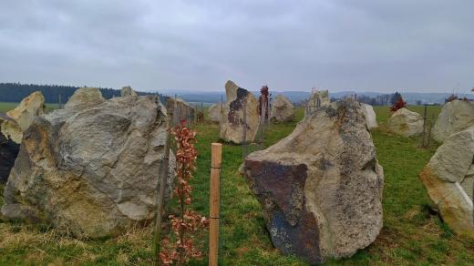 Jde o jeden z největších kamenných kruhů v rámci České republiky. Vznikl na žádost místních zemědělců