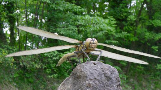 Model gigantické prehistorické vážky v Natura Viva Parku v Itálii