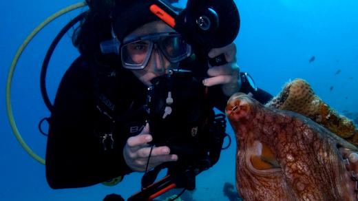 Martina Karásková při potápění za podmořskou faunou