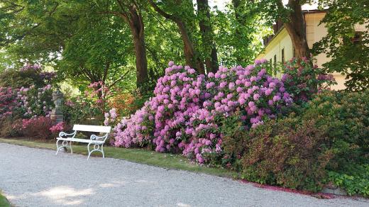 Při posezení na lavičce ve francouzské zahradě si vychutnáte zámeckou atmosféru i rozkvetlé rododendrony
