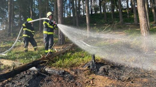 Tři jednotky hasičů likvidovaly požár lesní paseky v Náchodě
