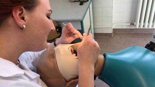 Cvičné vrtání si studenti stomatologie trénují na figurínách.