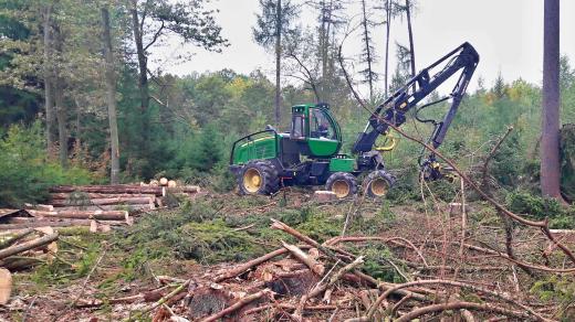 Rekordní ztrátu letos očekávají Dobřany na jižním Plzeňsku v lesním hospodaření. A to především kvůli kůrovci, který decimuje okolní lesy. Z původně plánovaných 3500 kubíků vytěženého kůrovcového dřeva bude na konci roku téměř 6000 kubíků