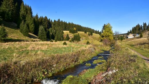 Potok Černá voda, přítok Malé Úpy