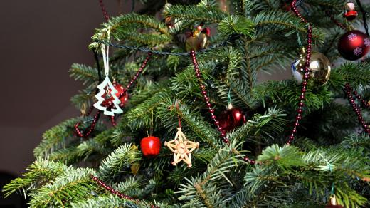 Až vánoční stromek přestane zdobit, může být ještě užitečný