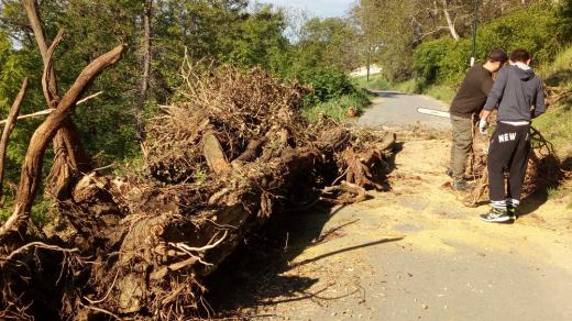 Revitalizace Petřína