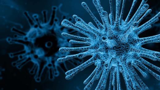 mikroskopický snímek viru