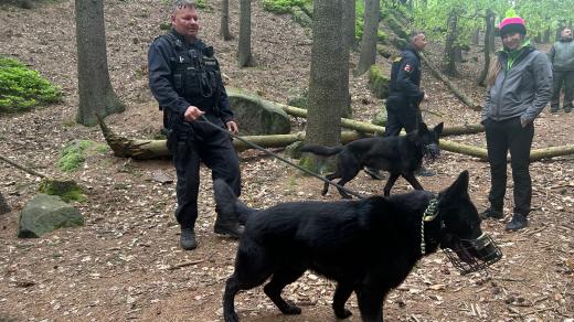 Jičínští policejní psovodi trénují před hlavní turistickou sezónou v Prachovských skalách