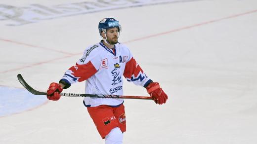 Opora české hokejové reprezentace David Krejčí