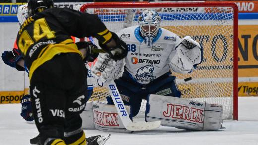 Litvínov v pátém zápase série porazil hokejisty Brna 2:1, zápas se rozhodoval v prodloužení