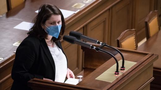 Jana Maláčová v Poslanecké sněmovně při projednávání novely o zaměstnanosti